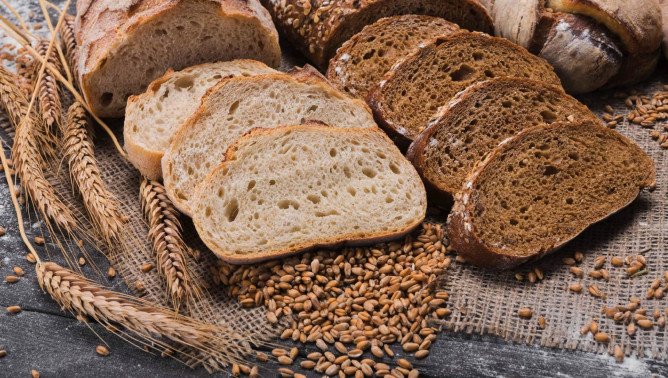 brood